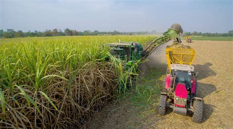 Mitr Phol Pioneers AI to Modernize Thai Sugar Industry - Sugar Asia Magazine