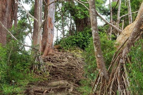 7 ABSOLUTE Best Haleakala Hikes For 2022 - National Park Obsessed