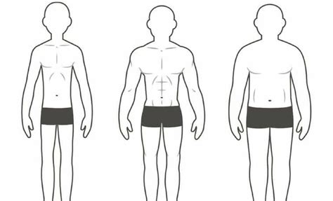 The Three Different Body Types and How They Affect Your Training