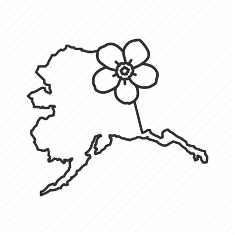 Alaska, borders, map, state, state flower, state symbol, usa icon ...