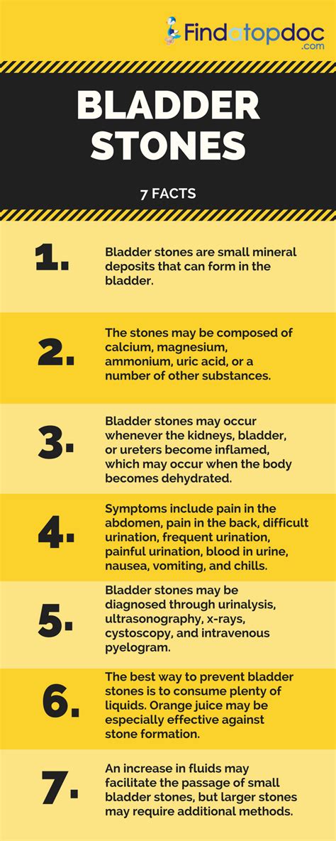 Bladder Stones: Symptoms, Causes, Treatment, and Diagnosis | FindATopDoc