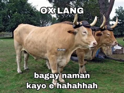 ox lng | Cute memes, Memes tagalog, Filipino funny