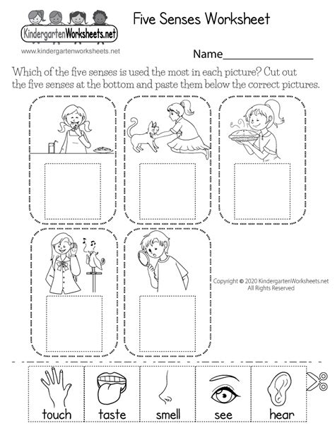 Five Senses Worksheet for Kids - Free Kindergarten Learning Worksheet