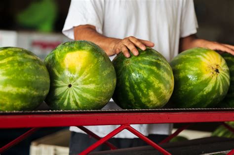 Cultivation - Watermelon Board