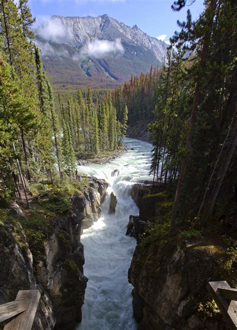 Sunwapta Falls _0592 | Sunwapta Falls is a pair of waterfall… | Flickr