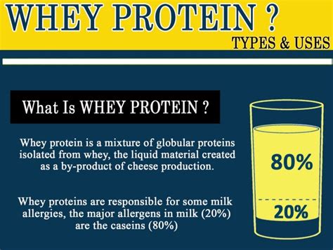 Whey protein types and uses