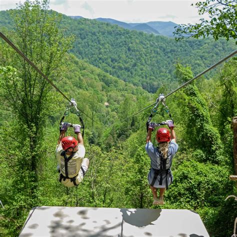 What Are the Best Zip Line Tours?