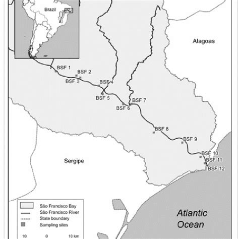 Map of the study area established throughout the Lower São Francisco River. | Download ...