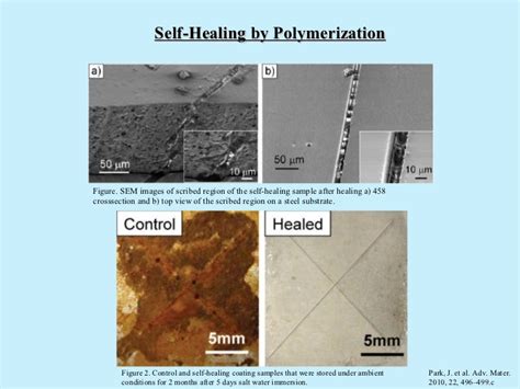 Self-healing Materials