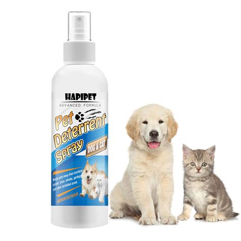 Cat Deterrent Spray Pet Corrector Best Offer - CatPremier.com