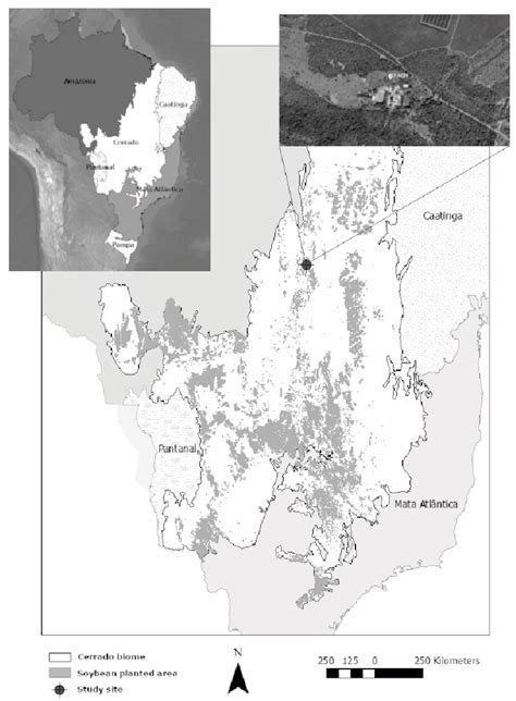 -The Cerrado biome. Dark grey areas show the soybean planted area as in ...