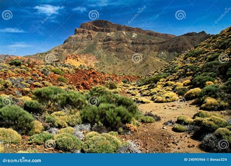 Teide Volcano in Tenerife stock photo. Image of geological - 24095966