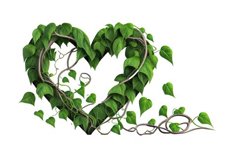 Heart shaped jungle vines on transparent background, created with ...