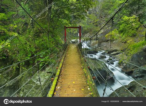 Kawazu waterfall trail, Izu Peninsula, Japan — Stock Photo © sara_winter #162636508