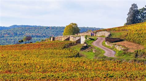 La côte de Beaune : villages et vignoble | La Bourgogne