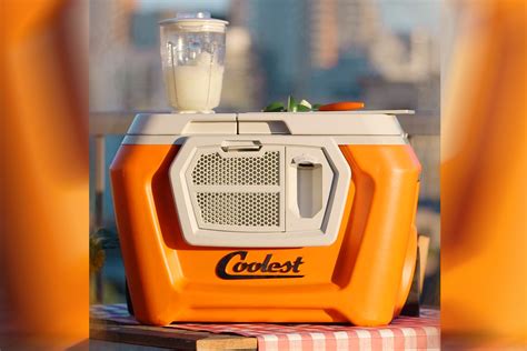 Best Coolers for Summer | The Daily Dish