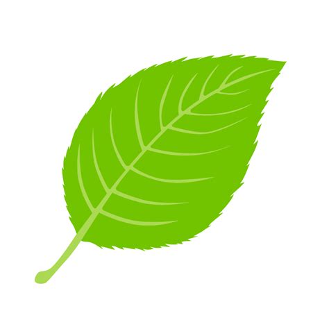 Leaf Clipart Download Picture