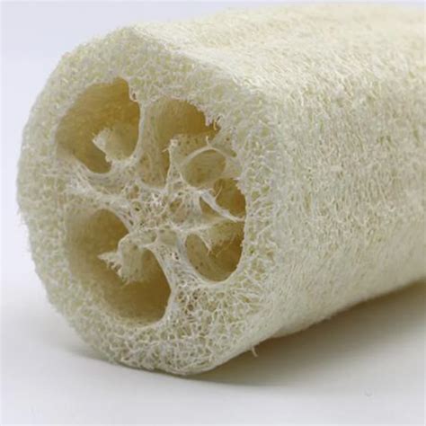 Natural Loofah Luffa Loofa Bath Shower Sponge Spa Body Scrubber Horniness Remover Bathing ...