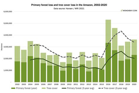 Global forest loss increases in 2020, but pandemic's impact unclear ...