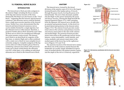 FEMORAL NERVE BLOCK ANATOMY Figure 15-3 - DocsLib