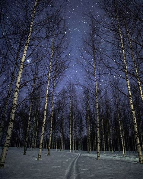 Magical Photos of Winter in Finland Under the Northern Lights | Nature ...