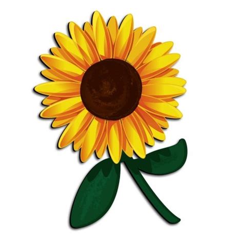 clipart sunflower 20 free Cliparts | Download images on Clipground 2024