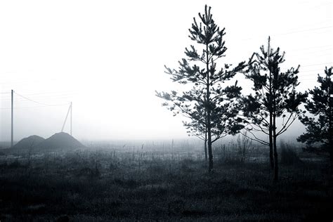 THE FOG / Photography on Behance