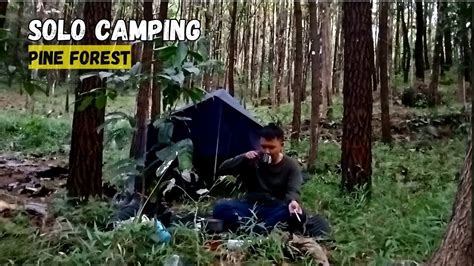 solo camping di hutan pinus - YouTube