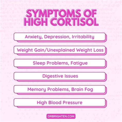 The Connection Between High Cortisol Levels and Cognitive Function