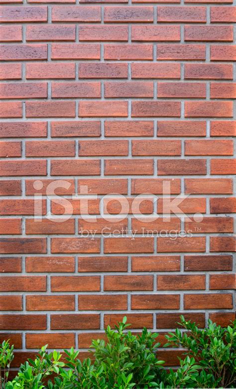 Brick Wall Corner Stock Photos - FreeImages.com