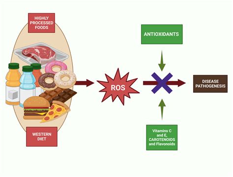 Nutrients | Free Full-Text | Global Impacts of Western Diet and Its Effects on Metabolism and ...