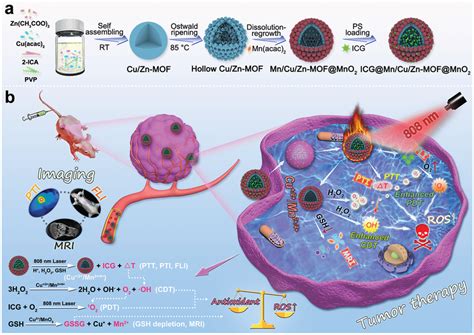 a) Schematic illustration for the fabrication of ICG@Mn/Cu/Zn‐MOF@MnO2.... | Download Scientific ...