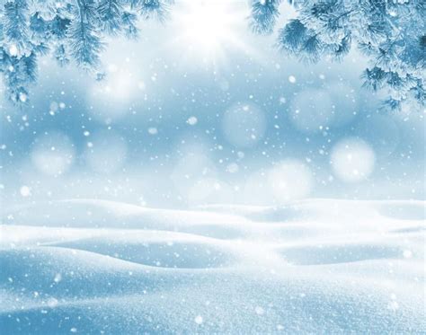 Winter Snow Portrait in 2020 | Christmas backdrops, Photography ...