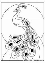 15 Peacock Coloring Pages 100% Free Printables sketch template