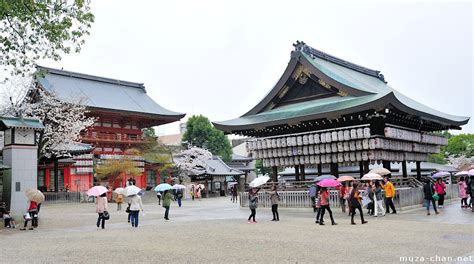 Cherry blossoms and colorful umbrellas at Yasaka Shrine, Kyoto