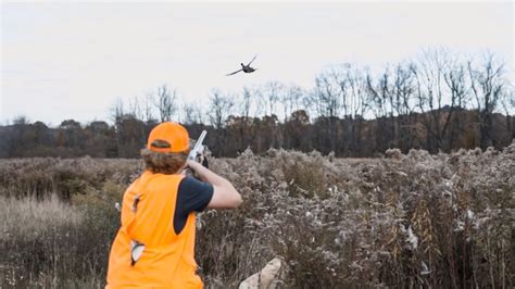 Pheasant Hunting Pennsylvania (birds EVERYWHERE!!) - YouTube