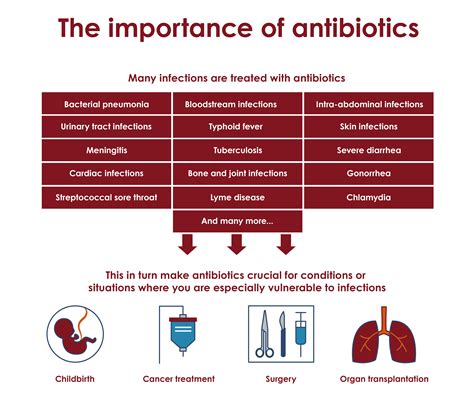 Antimicrobial And Antibacterial The Same