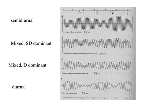 PPT - Tides Tide producing forces Semi-diurnal; diurnal tides Lunar and solar tides Resonance ...