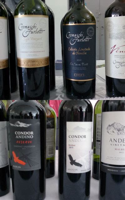 Chile and Argentina : wine nations to be taken seriously « Robin's Food & Drink Blog