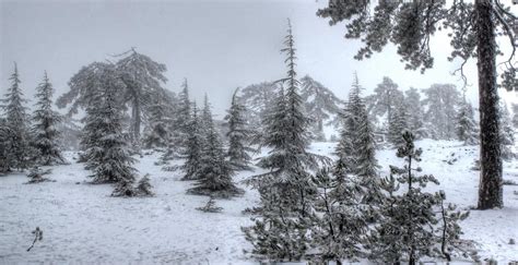 Great places to enjoy the wintery landscape in Troodos - My Cyprus Travel | Imagine. Explore ...