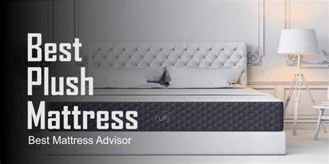 Best Plush Mattress in 2023- An Ultimate Guide - Best Mattress Advisor