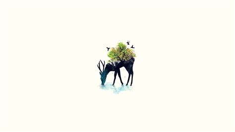 [100+] Minimalist Nature Wallpapers | Wallpapers.com