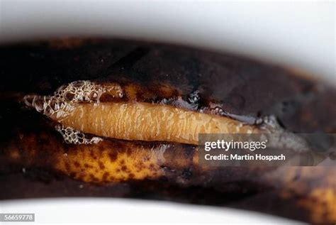 Rotten Banana Peel Photos and Premium High Res Pictures - Getty Images