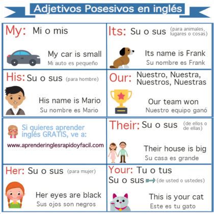 Adjetivos posesivos en inglés: My, Your, His, Her, Its, Our y Their