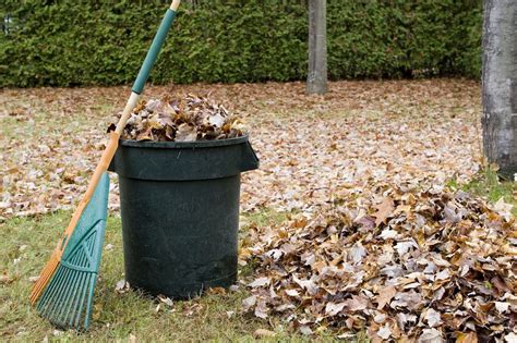 Complete Guide to Yard Waste Removal Services - Bye Junk