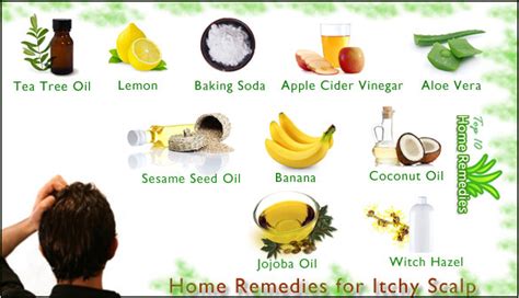 Home Remedies for Itchy Scalp | Top 10 Home Remedies