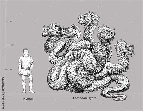 Lernaean Hydra - mythological creature and human. Multi headed dragon drawing. Fearsome monster ...