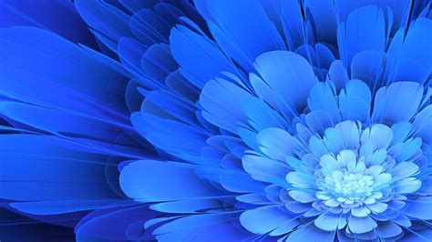 Details more than 55 blue flower wallpaper - in.cdgdbentre