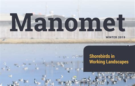 Winter 2019—Manomet Magazine - Manomet Conservation Sciences