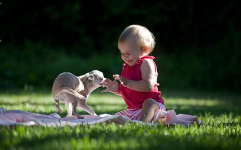 Baby Playing With Puppy